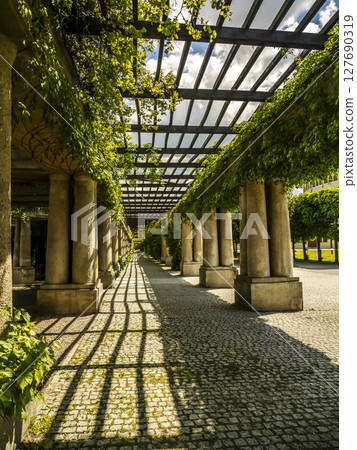 Sunny Walkway Through Lush Green Garden Pergola with Stone Columns 127690319