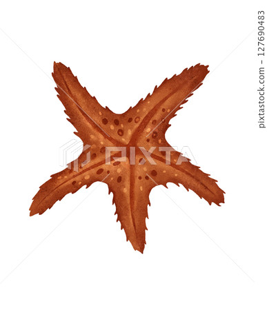 Starfish on a White Background Captivating Marine Life Composition and Display Starfish on a White Background Captivating Marine Life Composition and Display 127690483