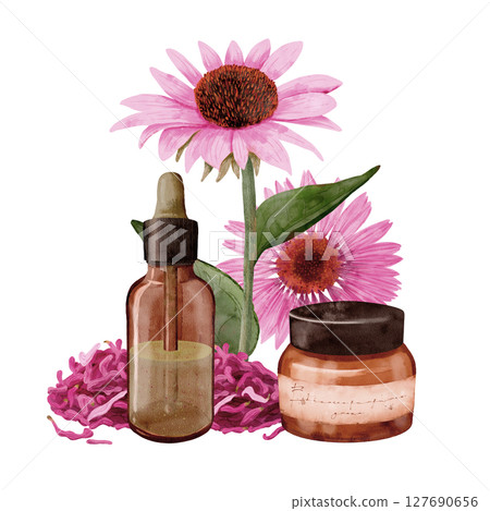 Explore Echinaceas Floral Essence and Natural Skincare Products to boost your beauty routine 127690656