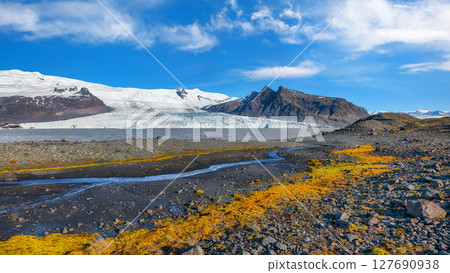 Ramarkable view of Fjallsarlon Glacier Lagoon and colour moss at foreground. 127690938