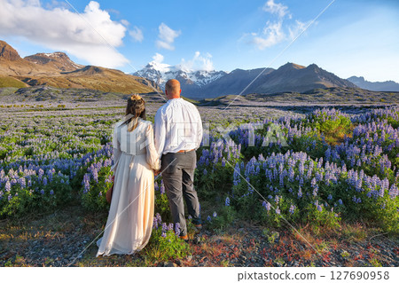 Ramarkable view of Typical Icelandic landscape with field of blooming lupine flowers next to the mountains and couple standing 127690958