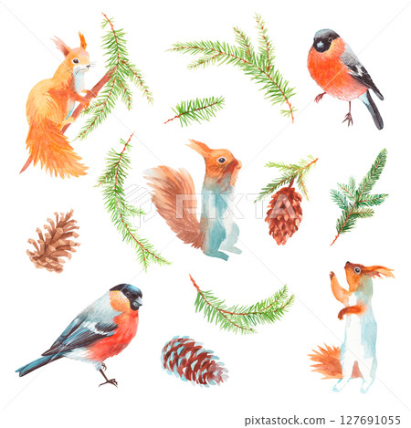Set of squirrel, bullfinches, fir branches and cones. Watercolor handmade elements. For fabric, wallpaper, packing paper, greeting cards, design, decoration and illustration. 127691055