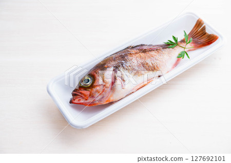 Gutted and scaled rockfish for grilling Gutted and scaled rockfish for grilling 127692101