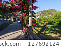 Flowered pathway along a garden in Capri Island, Italy. 127692124