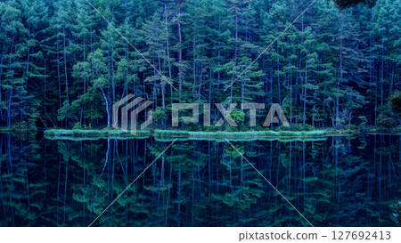 Early morning shooting pond 127692413