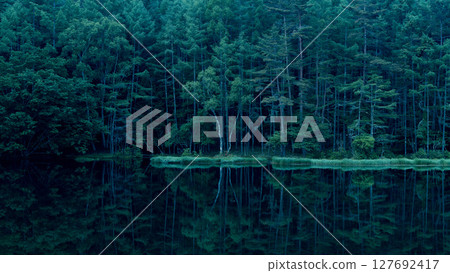 清晨射擊池塘 127692417