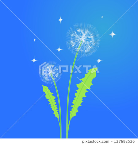 Dandelions with Green Stems and Sparkling Background in a Blue Gradient 127692526