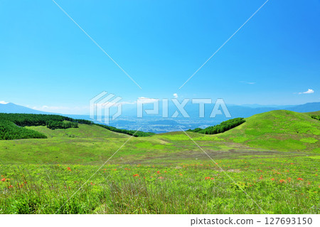 長野縣,藍天下的霧峰,從富士見台眺望 長野縣,藍天下的霧峰,從富士見台眺望 127693150