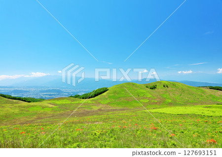 Nagano Prefecture, Kirigamine under the blue sky, view from Fujimidai Observatory Nagano Prefecture, Kirigamine under the blue sky, view from Fujimidai Observatory 127693151