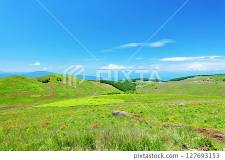 長野縣，藍天下的霧峰，從富士見台眺望 127693153