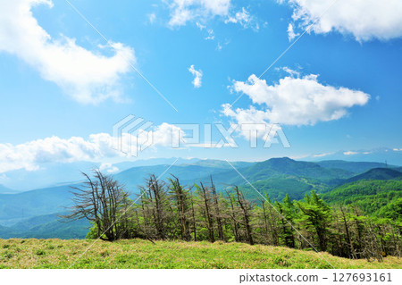 長野縣,藍天下的美原高原 長野縣,藍天下的美原高原 127693161