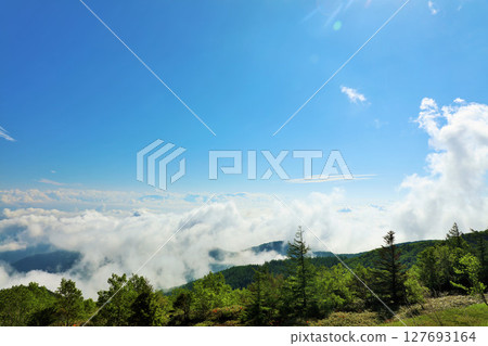長野縣美原高原的藍天和雲海 長野縣美原高原的藍天和雲海 127693164