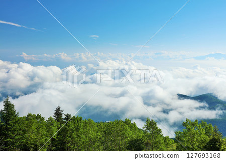 長野縣美原高原的藍天和雲海 127693168