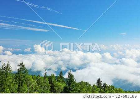 Blue sky and sea of clouds from Utsukushigahara Plateau, Nagano Prefecture Blue sky and sea of clouds from Utsukushigahara Plateau, Nagano Prefecture 127693169