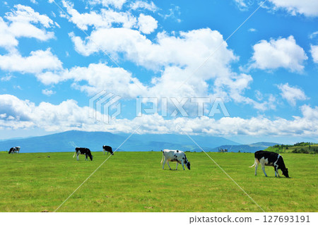 Nagano Prefecture, Utsukushigahara Plateau, blue sky farm scenery 127693191