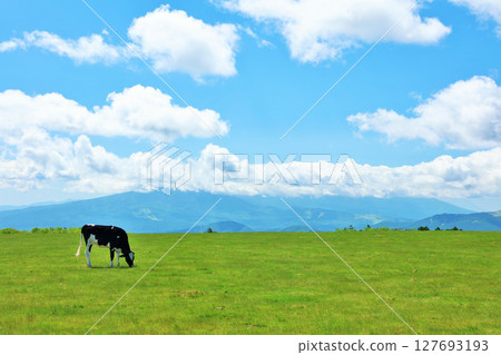 Nagano Prefecture, Utsukushigahara Plateau, blue sky farm scenery 127693193