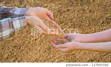 Adult hands pour seeds into a teenager hands, symbolizing the start of a new agricultural season. Ads family business support, shared wisdom, knowledge transfer, intergenerational bonds, inheritance Adult hands pour seeds into a teenager hands, symbolizing the start of a new agricultural season. Ads family business support, shared wisdom, knowledge transfer, intergenerational bonds, inheritance 127693388