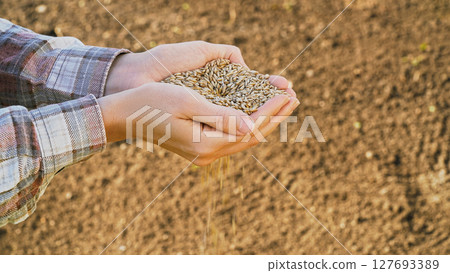 Close-up farmer's hands pouring seeds into fertile soil, symbolizing the beginning of a new agricultural season. Grower holding grain for sowing in field at sunset. Food business ads, ecology concept Close-up farmer's hands pouring seeds into fertile soil, symbolizing the beginning of a new agricultural season. Grower holding grain for sowing in field at sunset. Food business ads, ecology concept 127693389