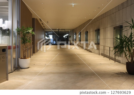 At the end of the underground passage 127693629