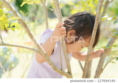 Girls playing around a tree Girls playing around a tree 127694140