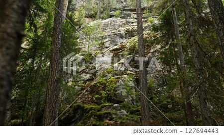 Low-angle view of a rocky forest hill with pine trees in Finland. Peaceful northern landscape. Concept of wilderness, stillness, and connection to nature. Nature background. Finish Lapland 127694443