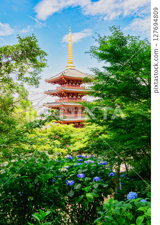 Takahatafudo Hydrangea Festival 2025, Hino City, Tokyo Takahatafudo Hydrangea Festival 2025, Hino City, Tokyo 127694809