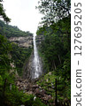 Nachi's waterfall 127695205