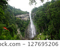 Nachi's waterfall 127695206