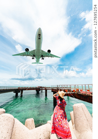 Impressive passenger plane 17end beach resort portrait Impressive passenger plane 17end beach resort portrait 127695254