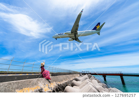 Impressive passenger plane 17end Beach and plane 127695257