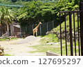 adventure world 127695297
