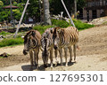 adventure world 127695301