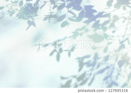 Background with plant shadows and copy space 127695316