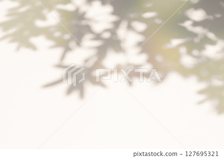 Background with plant shadows and copy space 127695321