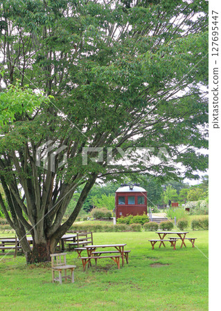初夏的安曇野千尋公園 初夏的安曇野千尋公園 127695447