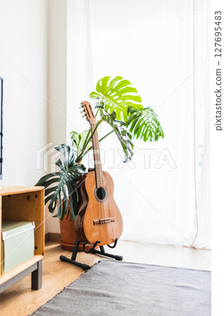 Acoustic guitar resting on stand next to monstera plant in modern living room Acoustic guitar resting on stand next to monstera plant in modern living room 127695483
