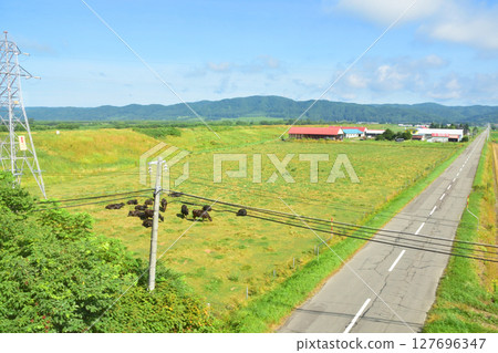 JR北海道,根室本線帶廣站至池田站的本地列車(2023年夏季) JR北海道,根室本線帶廣站至池田站的本地列車(2023年夏季) 127696347