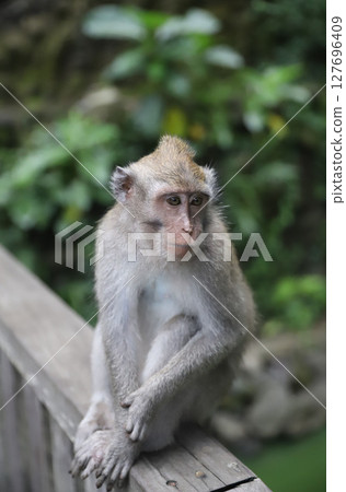 Bali, Ubud, Monkey Forest, Saren Agung Temple Bali, Ubud, Monkey Forest, Saren Agung Temple 127696409