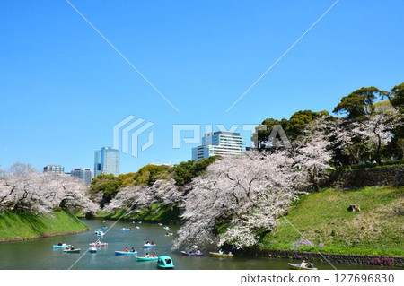 櫻花在Imperial Chidorigafuchi 127696830