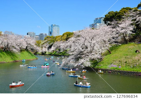 櫻花在Imperial Chidorigafuchi 127696834