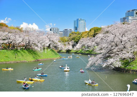 櫻花在Imperial Chidorigafuchi 櫻花在Imperial Chidorigafuchi 127696847