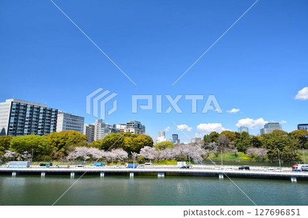 櫻花在Imperial Chidorigafuchi 127696851