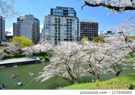 櫻花在Imperial Chidorigafuchi 127696869