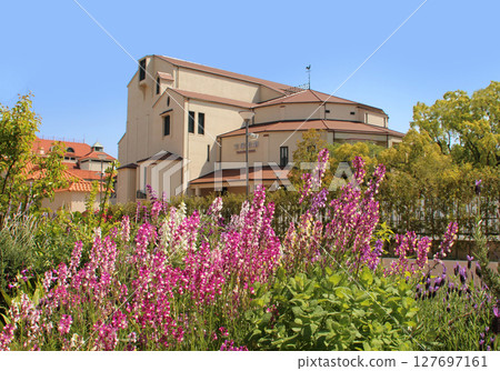 Takarazuka Revue seen from the Flower Road 127697161