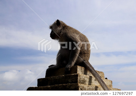 巴厘島烏魯瓦圖寺 巴厘島烏魯瓦圖寺 127697297