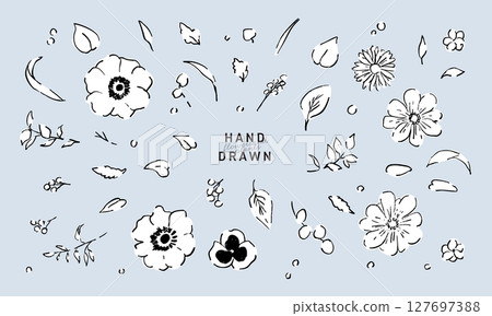 Hand-drawn plant illustration. Vector material of plants and flowers. Simple summer background frame of plants and flowers. Plant set. 127697388