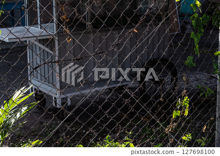 Weathered Wire Fence with a Blurry Background Weathered Wire Fence with a Blurry Background 127698100