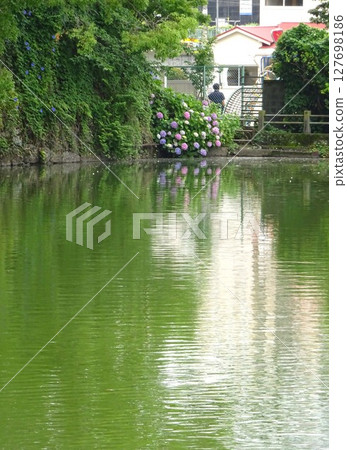 護城河池塘和繡球花 護城河池塘和繡球花 127698186