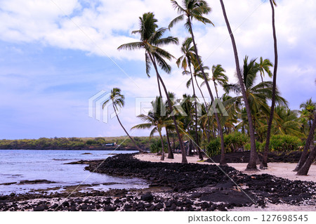 夏威夷假期：大島普烏霍努阿霍那瑙國家歷史公園 127698545