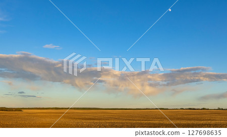Freshly Seeded Field, Trees, Rainy Spring Sky 127698635